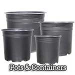 plants pot container